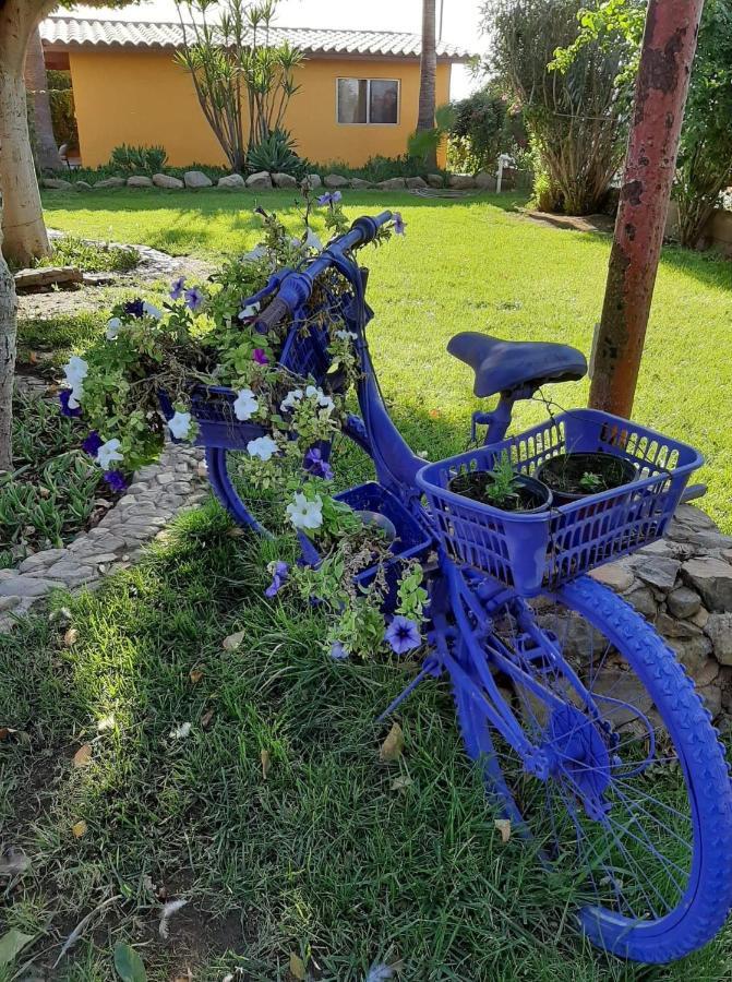 Hostel Rancho El Campanario En La Ruta Del Vino Valle de Guadalupe Zewnętrze zdjęcie