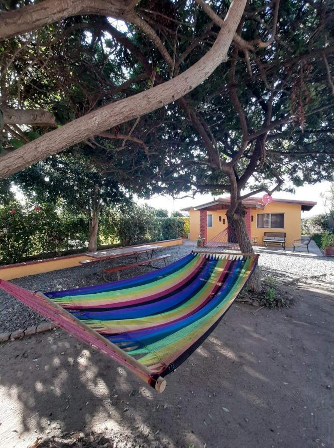 Hostel Rancho El Campanario En La Ruta Del Vino Valle de Guadalupe Zewnętrze zdjęcie